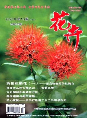花卉杂志